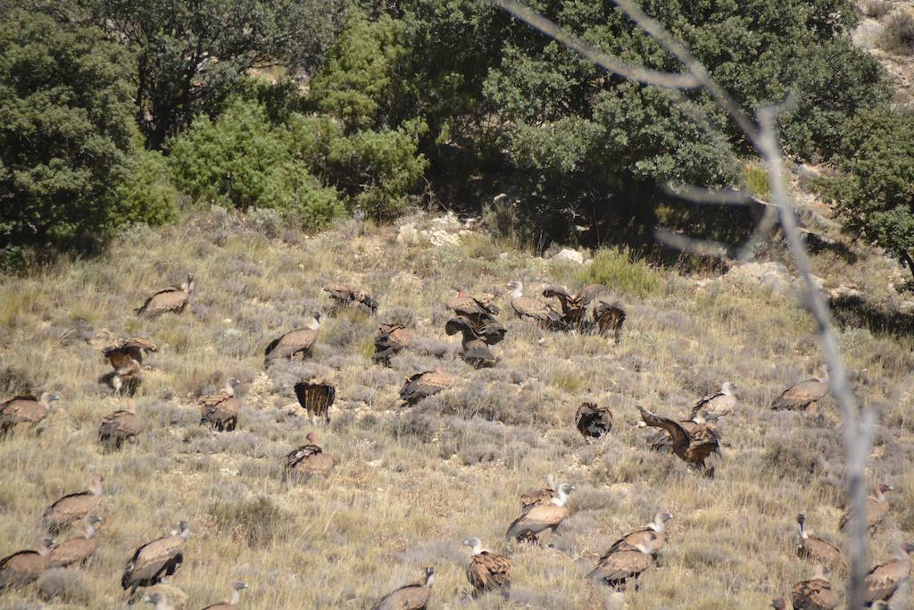 Hotel Rural El Horno De Aliaga Dış mekan fotoğraf