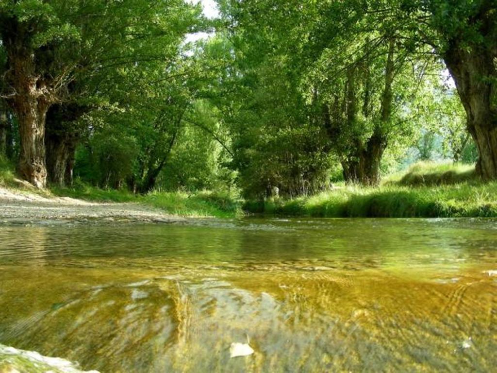 Hotel Rural El Horno De Aliaga Dış mekan fotoğraf
